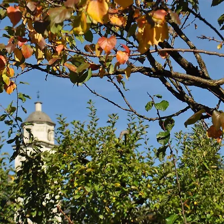 Ristorante Franca 토보 디 산타가타