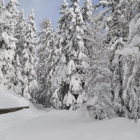 Ristorante Franca 3*